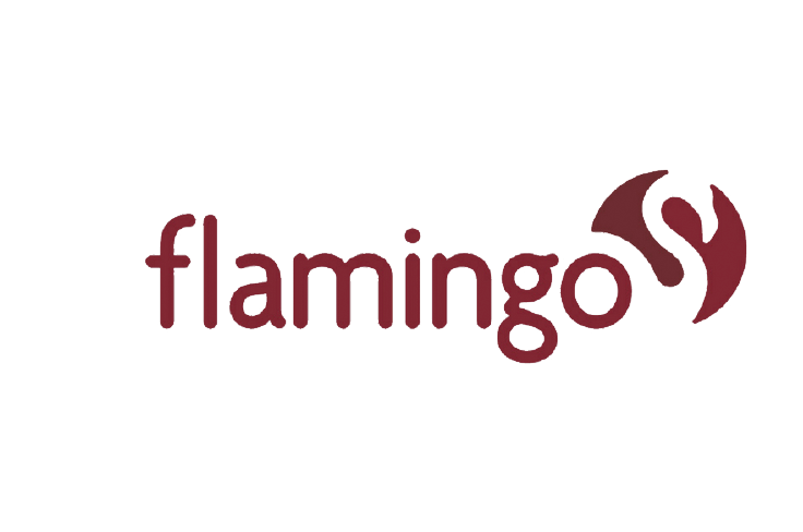 logo FLAMINGO DDS 2023